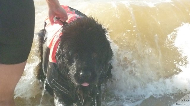 Фотография № 79314