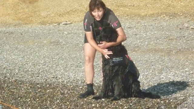 Фотография № 79315