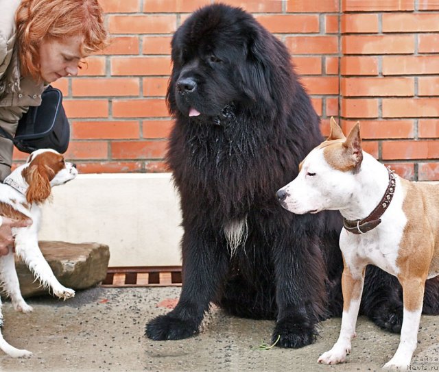 Фотография № 79317