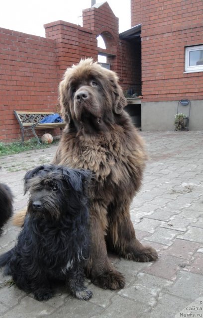 Фотография № 79325