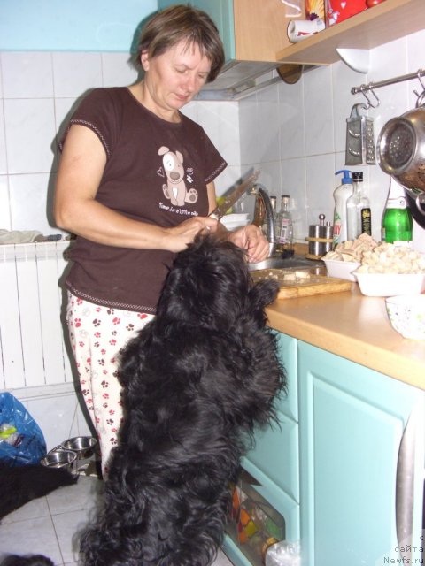 Фото: Светлана Пермякова, Фрося