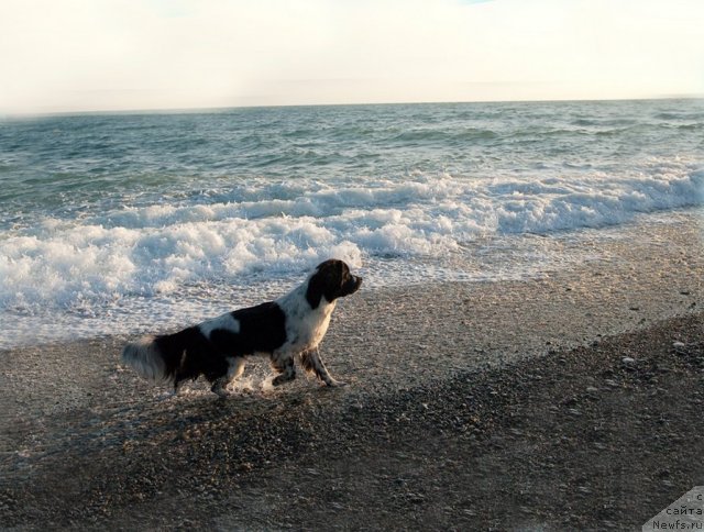 Фотография № 79391