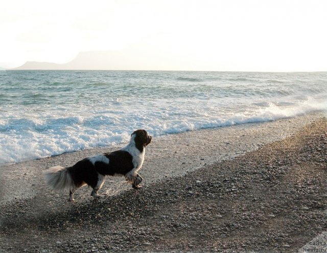 Фотография № 79392