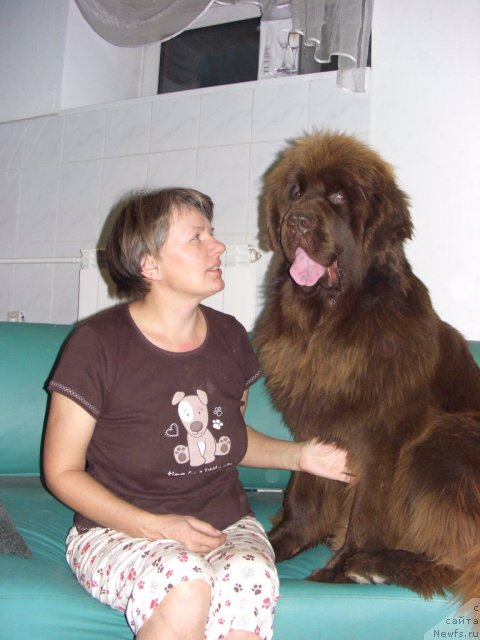 Фотография № 79420