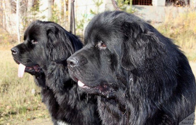 Фотография № 79432