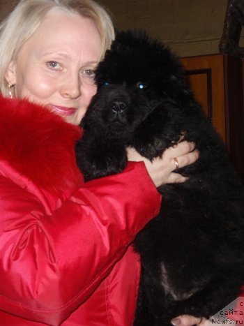 Фотография № 79487