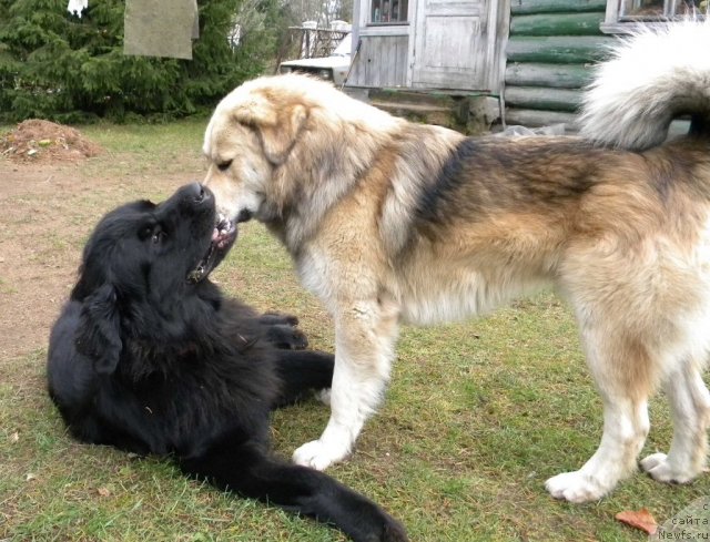 Фотография № 79512