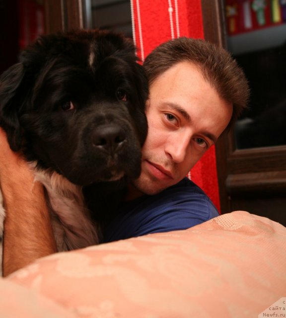 Фото: ньюфаундленд Аквиан Сонг Зеро Гравити (Akvian Song Zero Graviti), Александр Розенфельд