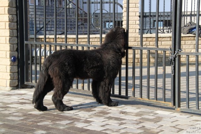 Фотография № 79584