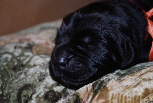 Фото: Наталья Смирнова