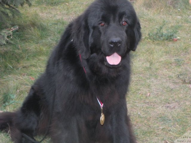 Фотография № 79649