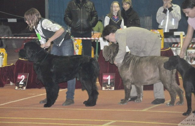 Фотография № 79702