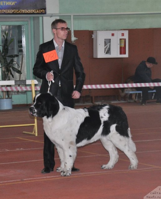 Фотография № 79705