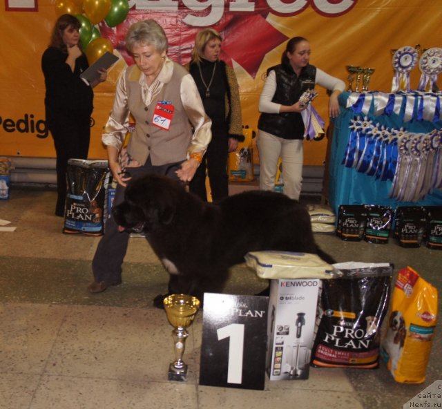 Фотография № 79709