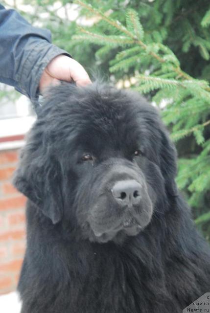 Фотография № 7971