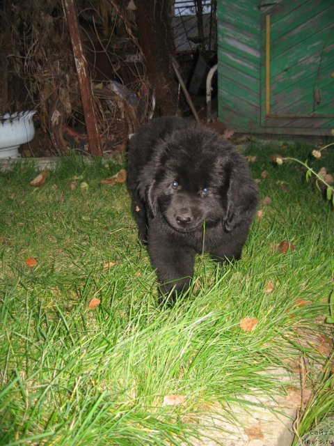 Фото: Светлана Глаголева