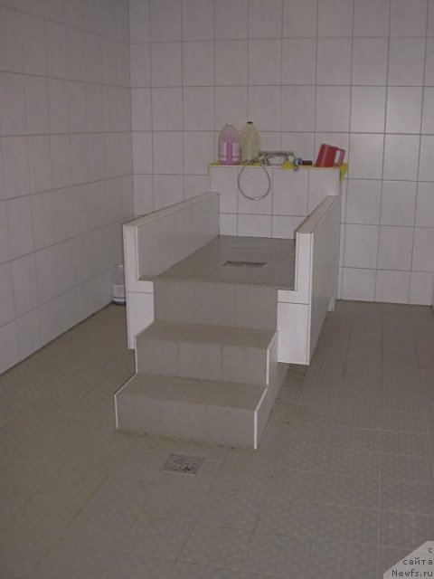 Фотография № 79715