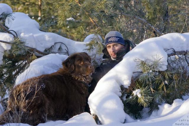 Фото: ньюфаундленд Лесная Сказка Изольда, Игорь Момот