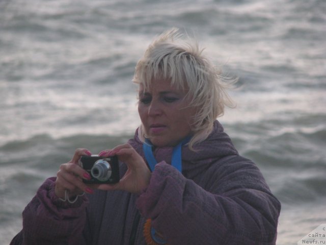 Фотография № 79804