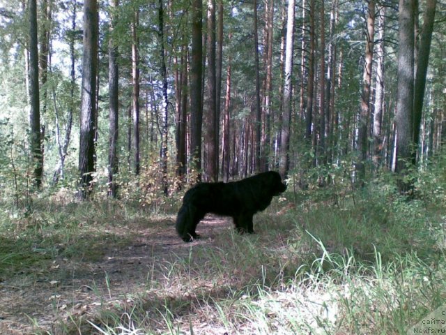 Фотография № 79850