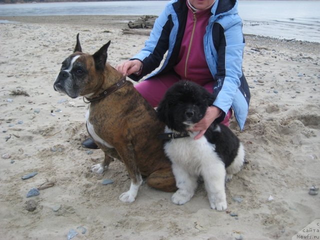 Фотография № 79862