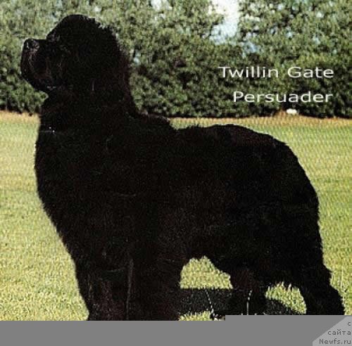 Фотография № 79873