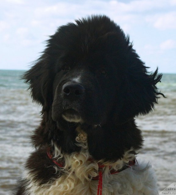 Фотография № 79882