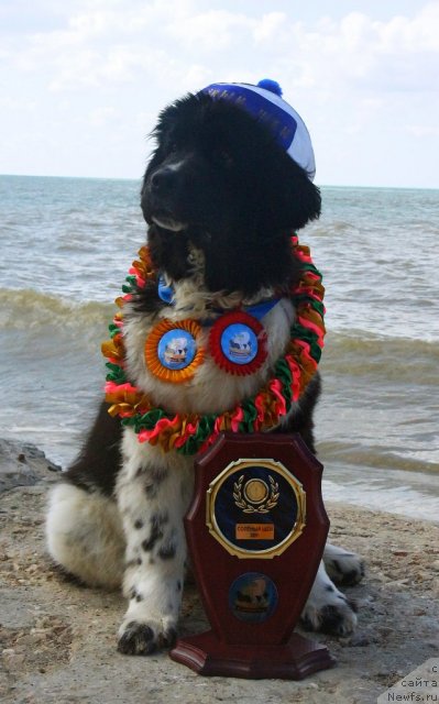 Фотография № 79883