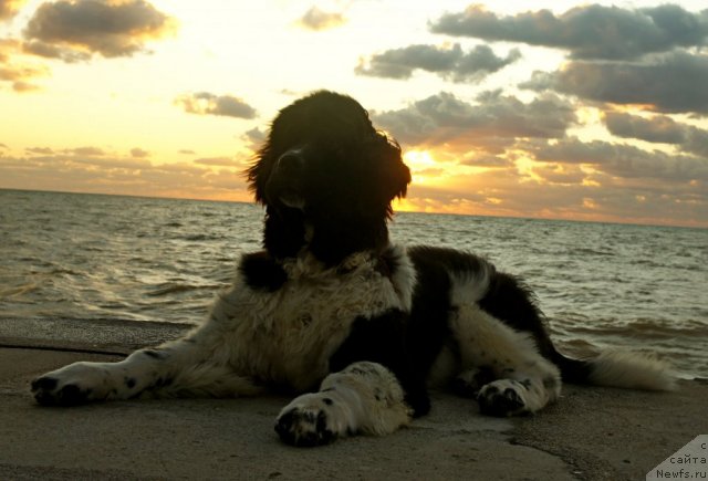 Фотография № 79887