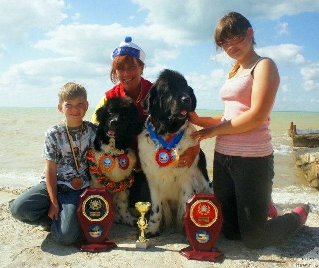Фото: ньюфаундленд Don't Worry Be Happy de L'Etoile de Cyrice, ньюфаундленд Питерньюф И Дид Ит Агаин (Piternyuf I Did It Again), Екатерина Кормакова, Анастасия Кормакова