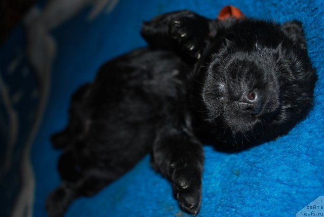 Фото: Наталья Смирнова