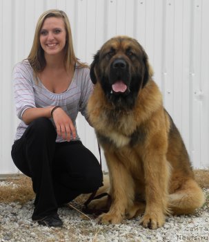 Фотография № 79899