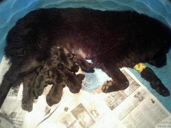 Фотография № 79900