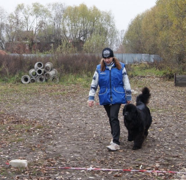 Фотография № 79973