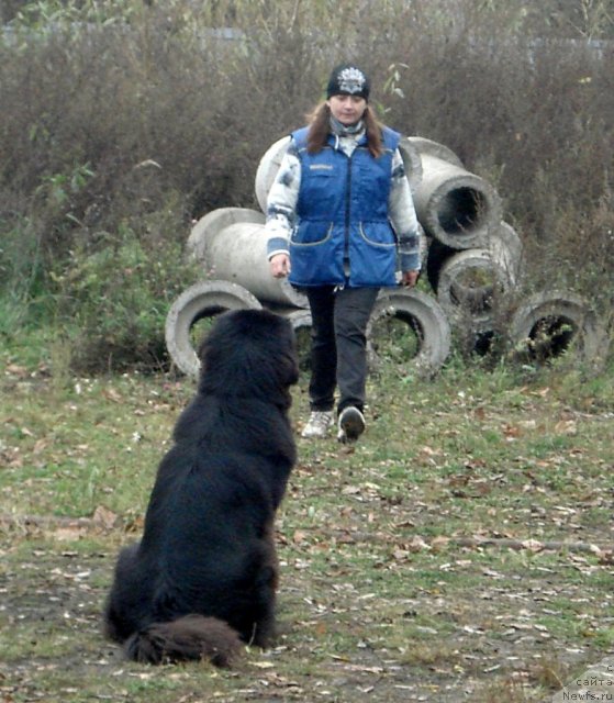 Фотография № 79974