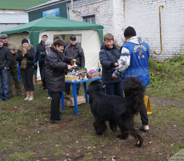 Фотография № 79976