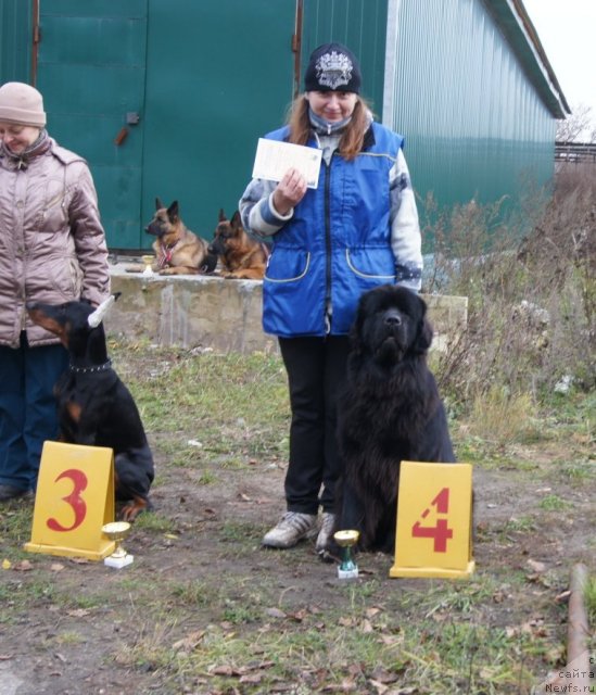 Фотография № 79977