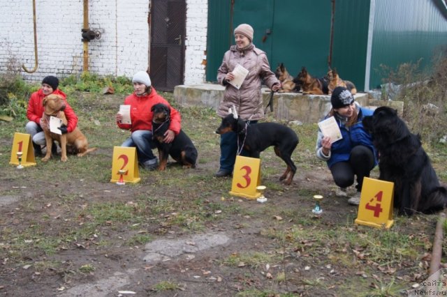 Фотография № 79978