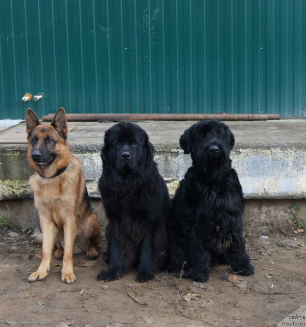 Фотография № 79979