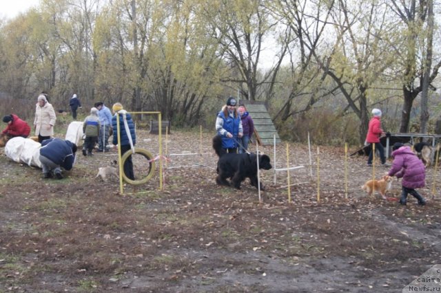 Фотография № 79980