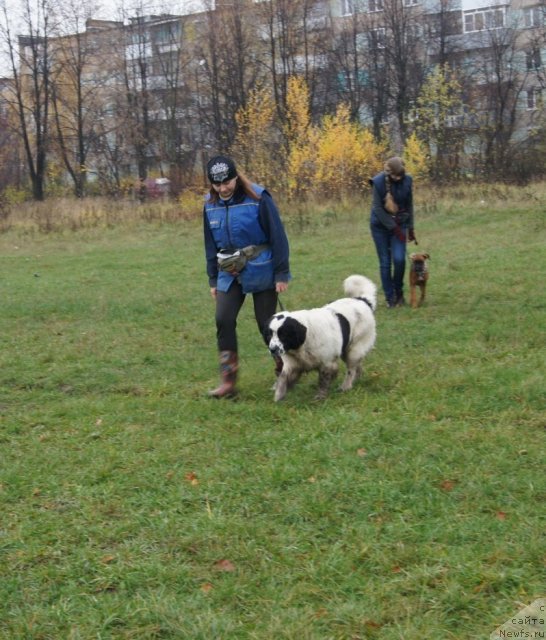 Фотография № 79982