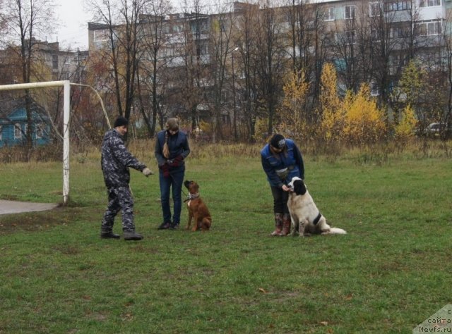 Фотография № 79984