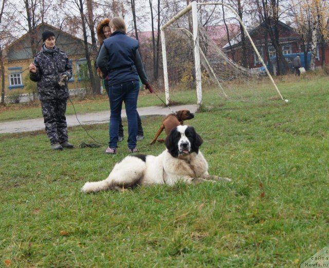 Фотография № 79986