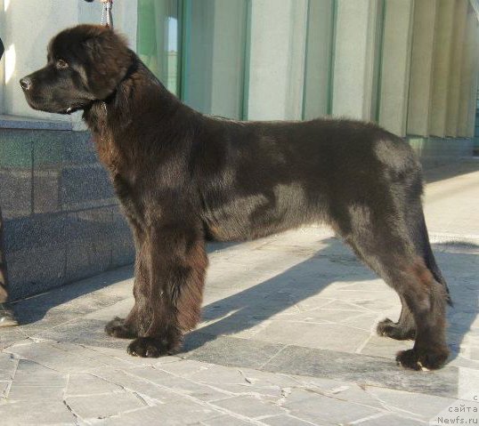 Фото: Бегущая по волнам ДАБЛ ДЭАР