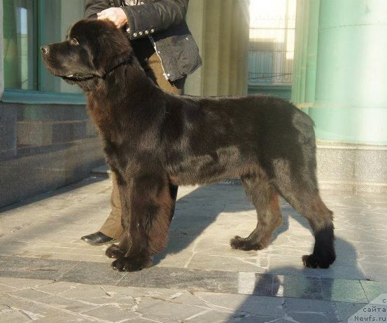 Фото: Бегущая по волнам Дабл Дэар