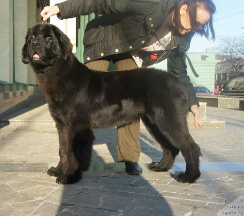 Фото: Бегущая по волнам Дабл Дэар