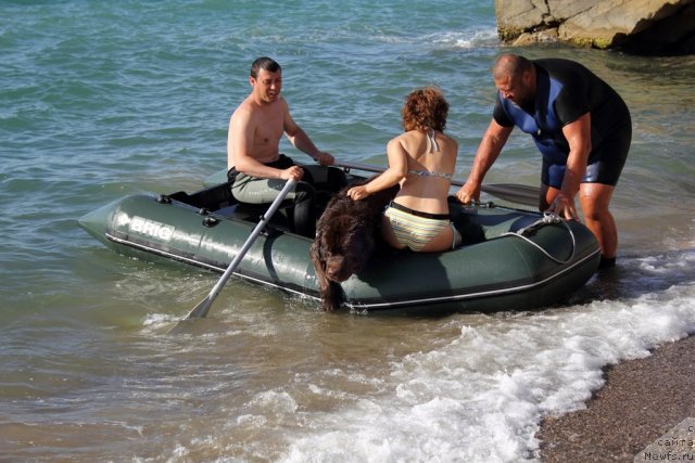 Фотография № 80025