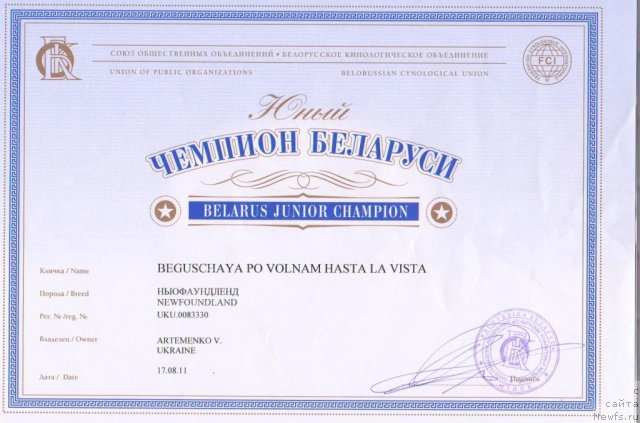 Фото: ньюфаундленд Бегущая по Волнам Хаста ла Виста (Beguschaya po Volnam Hasta la Vista)