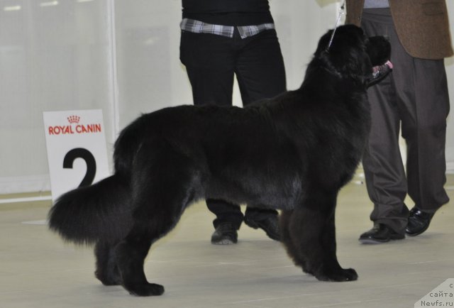 Фотография № 80052