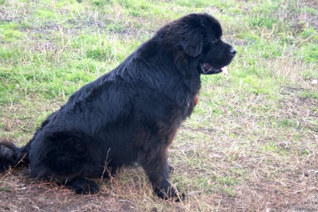 Фотография № 80079